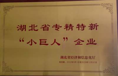 湖北省專(zhuān)精特新“小巨人”企業(yè)