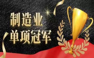 精川智能獲評湖北省制造業(yè)單項冠軍企業(yè)